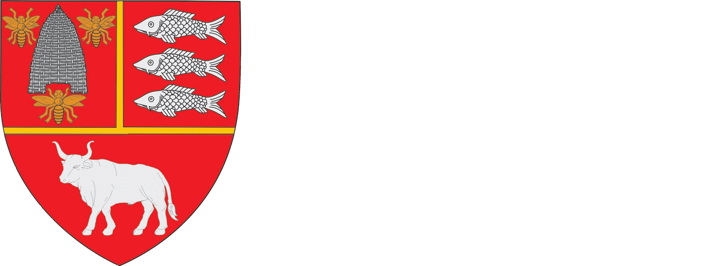 Județul Vaslui