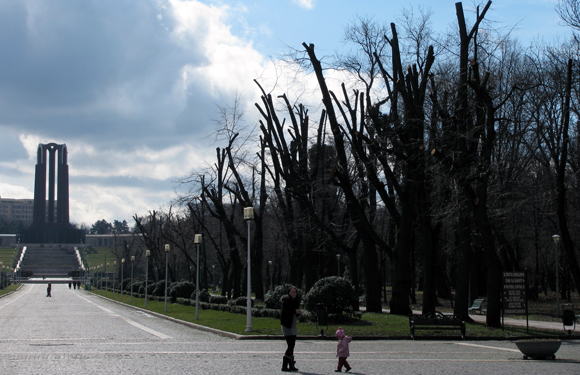 'Toaletare' în Parcul Carol - foto: O. Mihalache